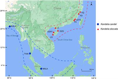A comparison of 25 complete chloroplast genomes between sister mangrove species Kandelia obovata and Kandelia candel geographically separated by the South China Sea